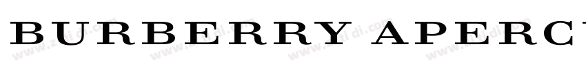 Burberry Apercu Bold字体转换
